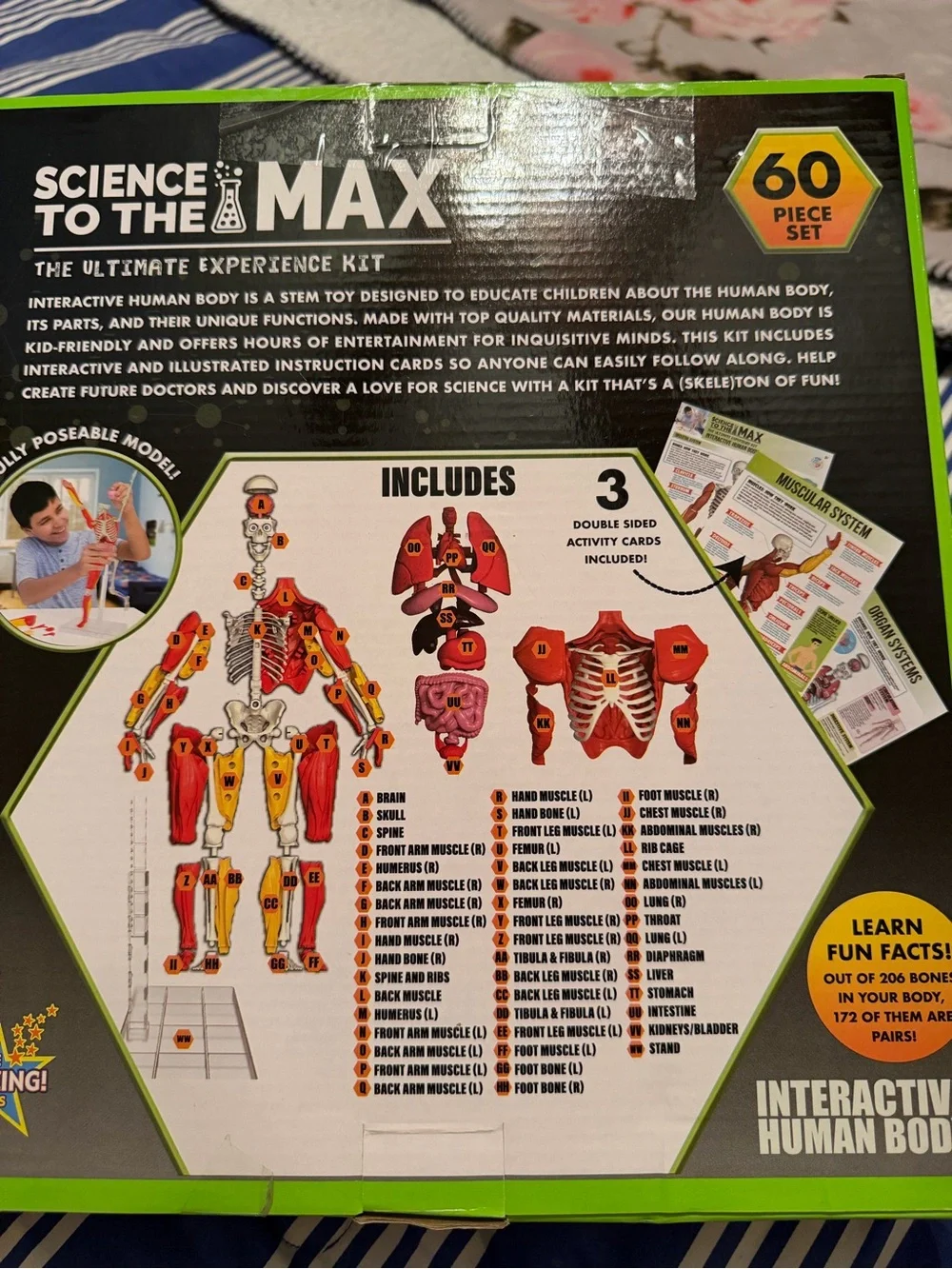 To the Max Interactive Human Body Toy - Red, Pink, Yellow, White, Black
